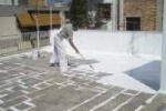 Waterproofing, Crack Bridging and Efflorescence Material