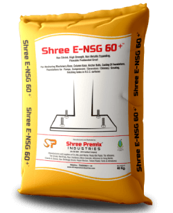 Shree E-NSG 60+